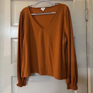 Long-sleeve V-neck clip-dot blouse, XL